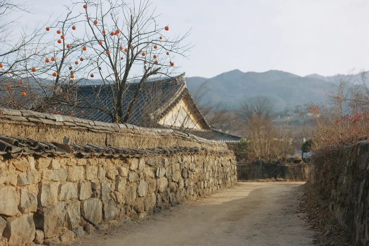 스튜디오가 있는 마을의 낮은 담과 흙길